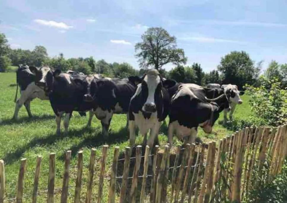 Statige Boerderijwoning Met Vrij Uitzicht En Tuin Villa Hoogzand Exterior foto